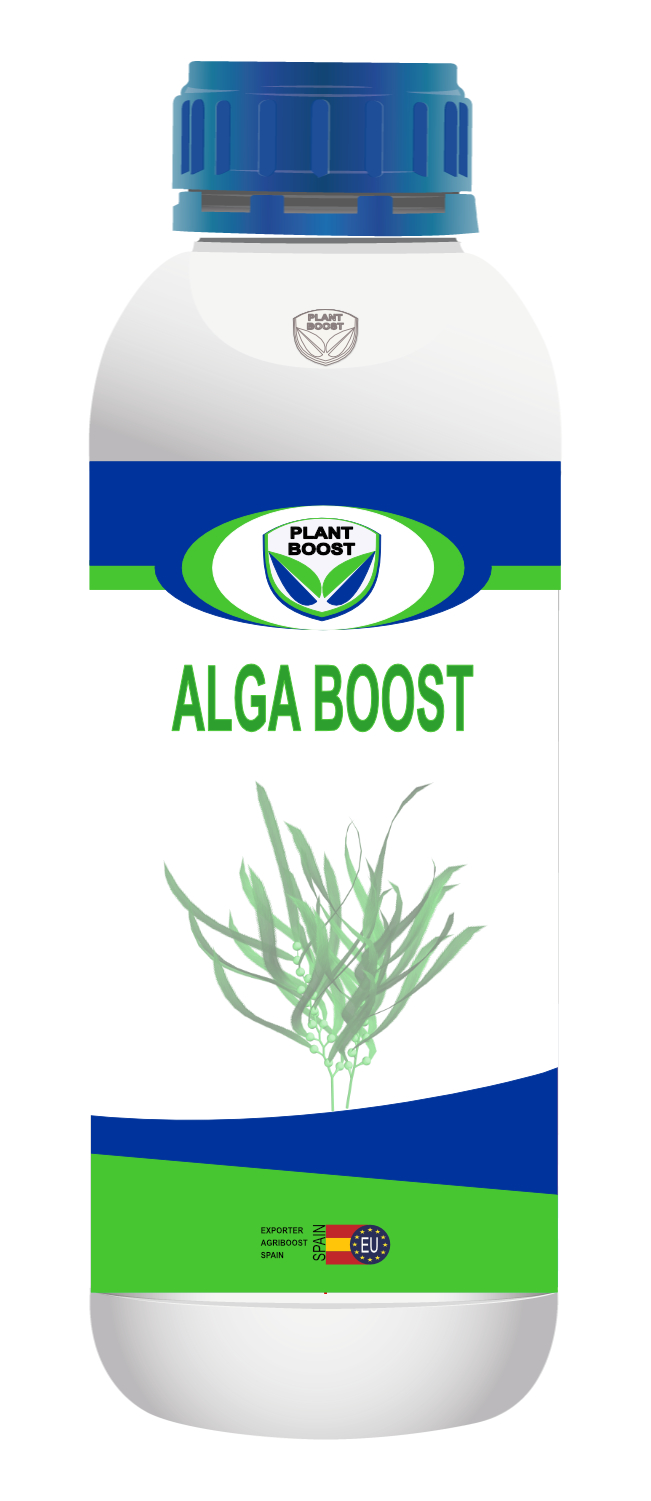 ALGA BOOST 1L