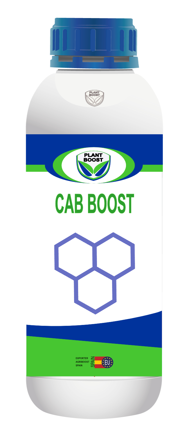 CAB BOOST 1L