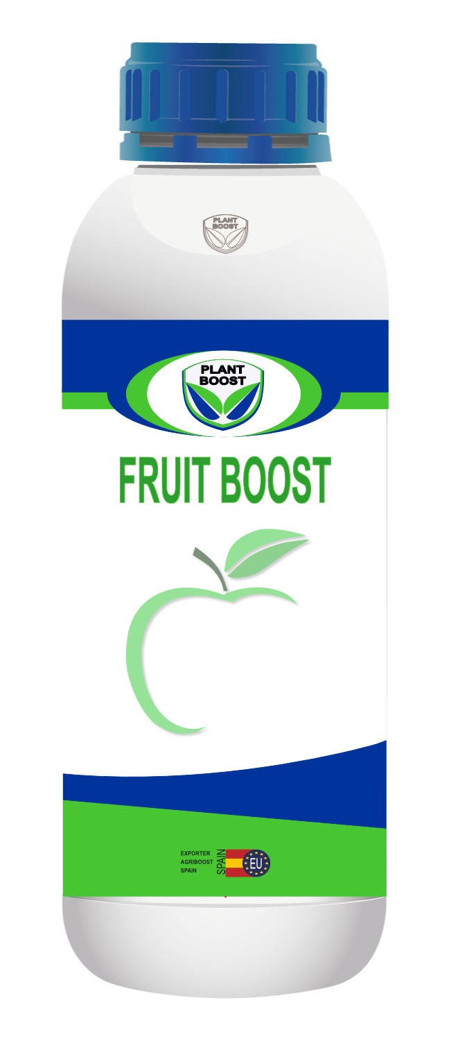 FRUIT BOOST 1L