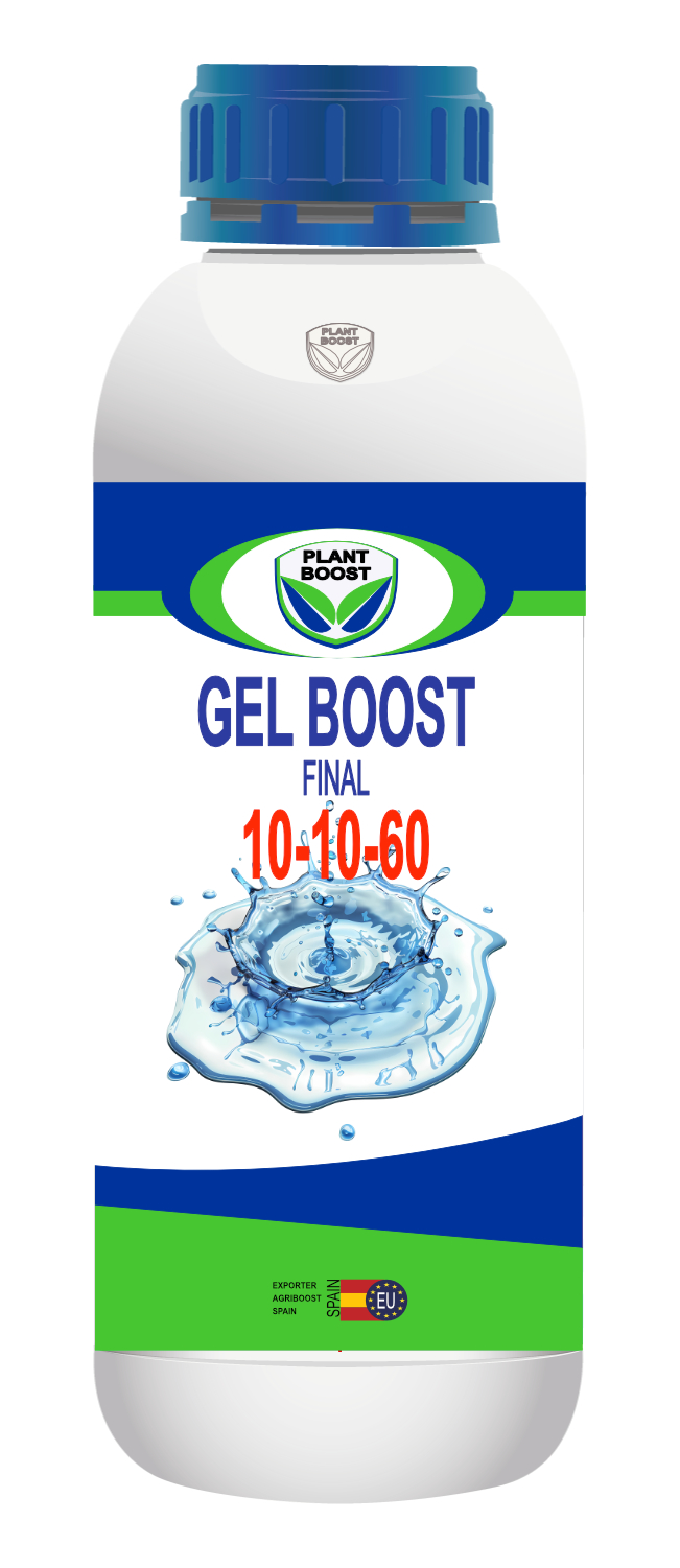 GEL BOOST10-10-60