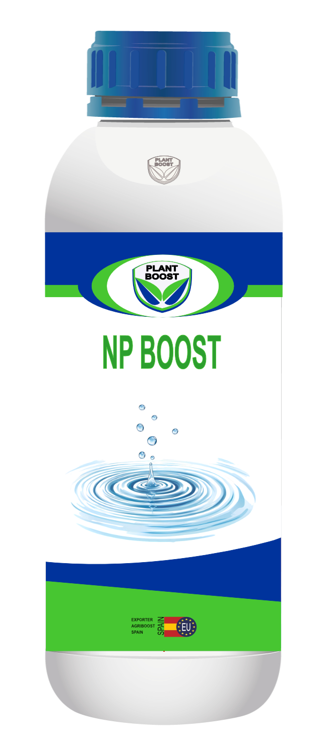 NP BOOST 1L